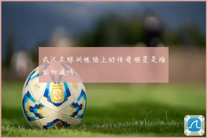 武汉足球训练场上的传奇明星是谁你知道吗