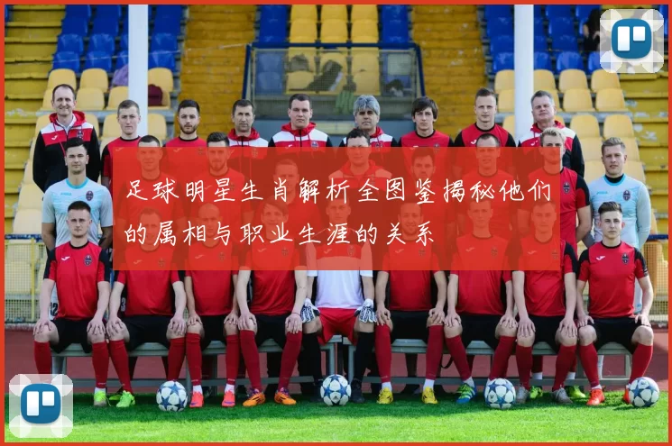 足球明星生肖解析全图鉴揭秘他们的属相与职业生涯的关系