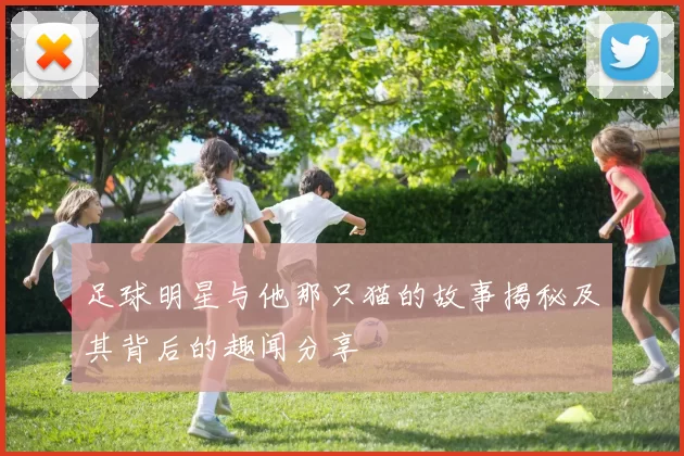 足球明星与他那只猫的故事揭秘及其背后的趣闻分享
