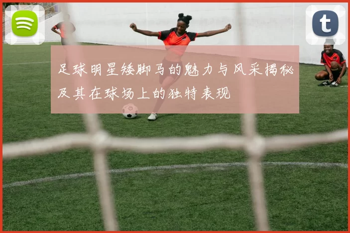 足球明星矮脚马的魅力与风采揭秘及其在球场上的独特表现