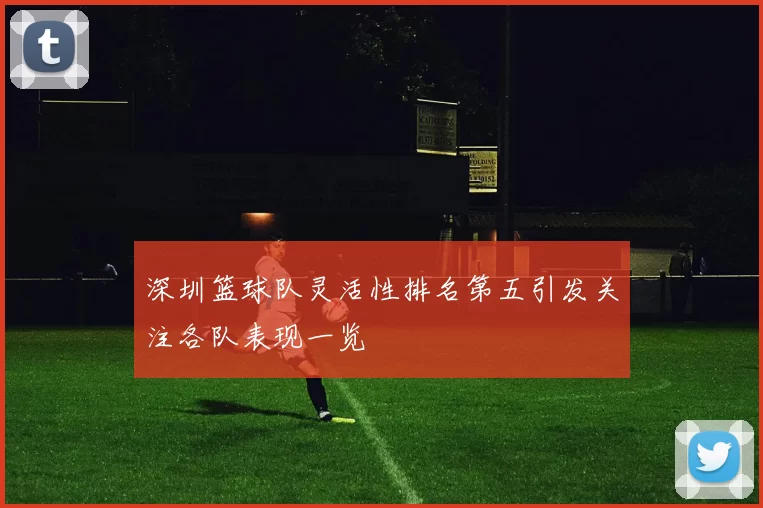 深圳篮球队灵活性排名第五引发关注各队表现一览
