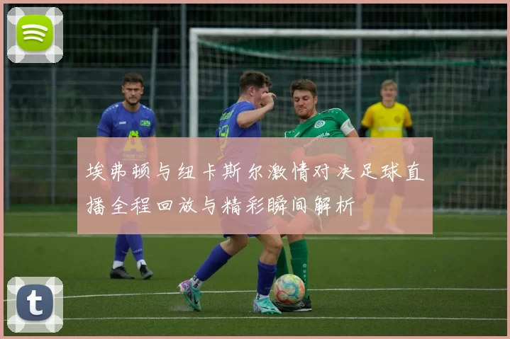 埃弗顿与纽卡斯尔激情对决足球直播全程回放与精彩瞬间解析