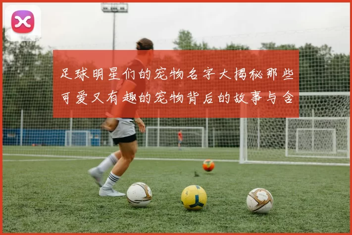 足球明星们的宠物名字大揭秘那些可爱又有趣的宠物背后的故事与含义