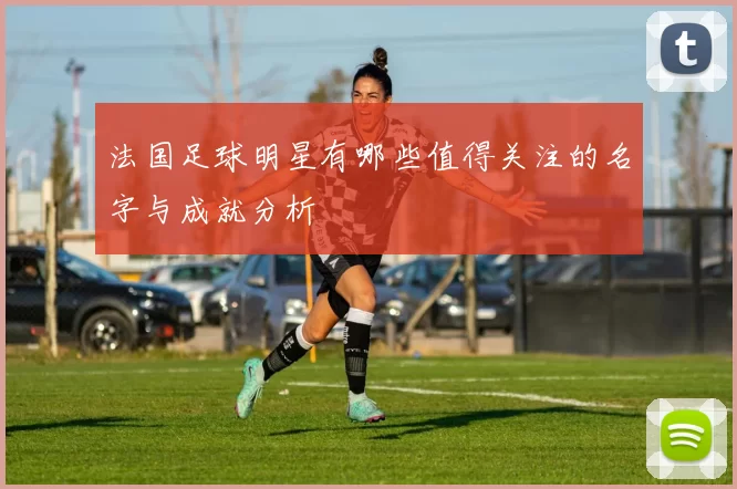 法国足球明星有哪些值得关注的名字与成就分析