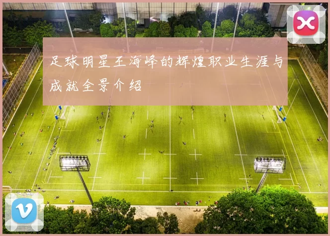 足球明星王海峰的辉煌职业生涯与成就全景介绍