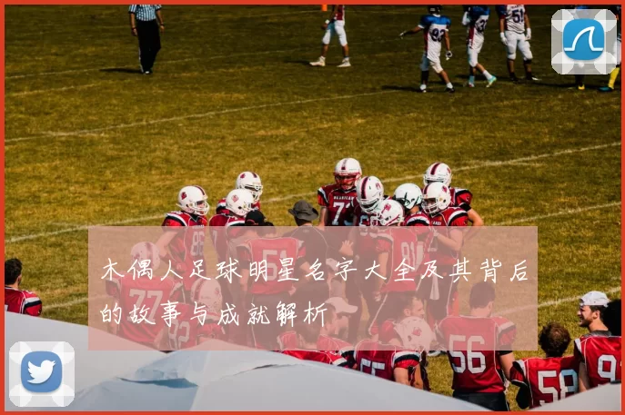 木偶人足球明星名字大全及其背后的故事与成就解析
