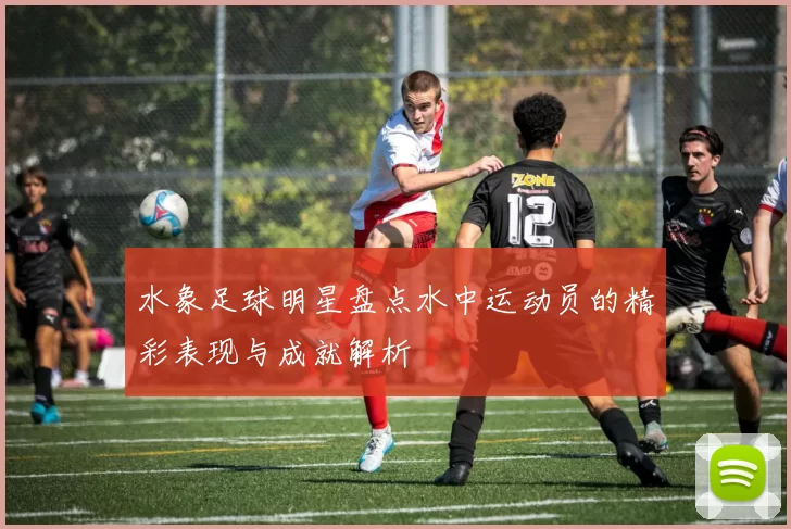 水象足球明星盘点水中运动员的精彩表现与成就解析