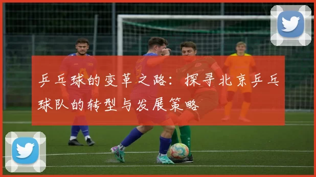 乒乓球的变革之路：探寻北京乒乓球队的转型与发展策略