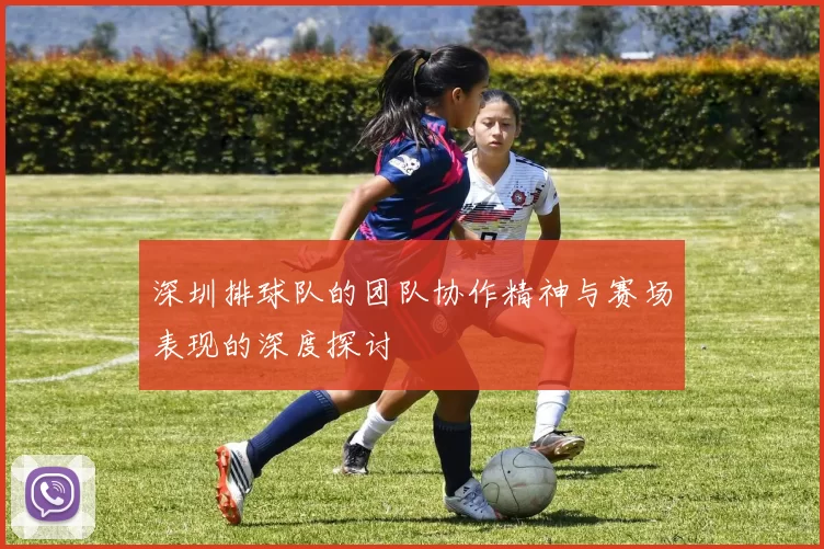 深圳排球队的团队协作精神与赛场表现的深度探讨