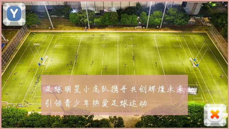足球明星小虎队携手共创辉煌未来引领青少年热爱足球运动