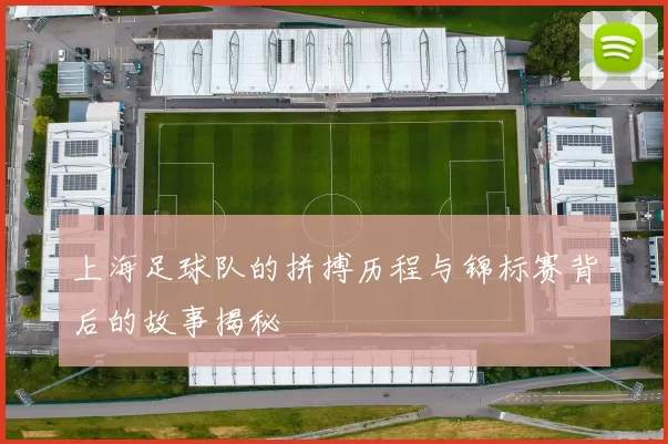 上海足球队的拼搏历程与锦标赛背后的故事揭秘