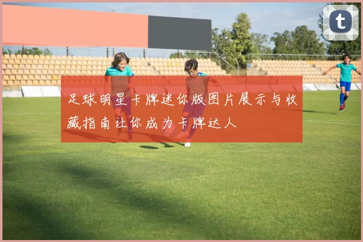 足球明星卡牌迷你版图片展示与收藏指南让你成为卡牌达人