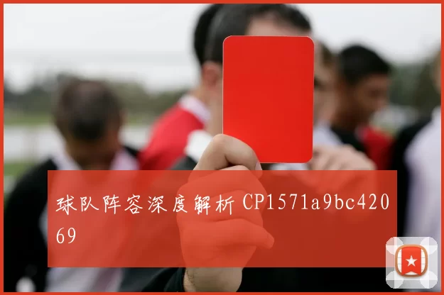 球队阵容深度解析 CP1571a9bc42069